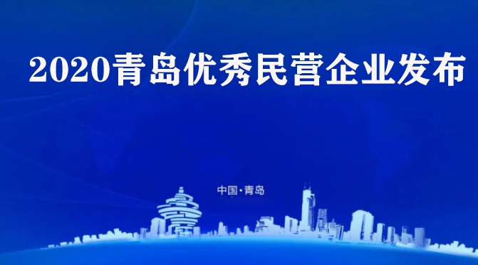 喜訊！海利爾藥業(yè)集團(tuán)榮獲2020青島優(yōu)秀民營(yíng)企業(yè)